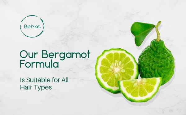 Zero-Waste Ultimate 4-Pack Bundle 0c22a98c-23d8-45fc-b9c5-e1db708500a6