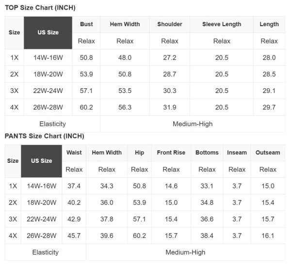 Plus Size Leopard Pullover and Shorts Set