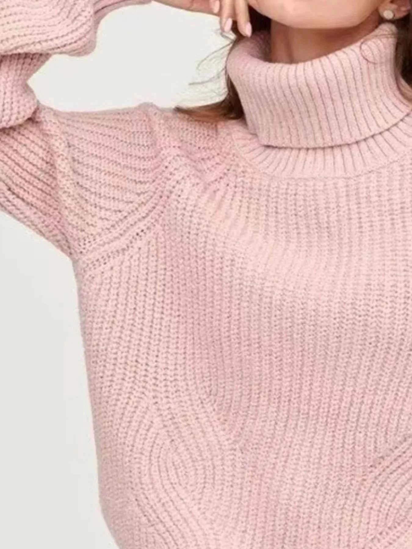 Turtleneck Long Sleeve Sweater 009c702d-0669-4744-ace9-93e25f2d261a-Max-Origin