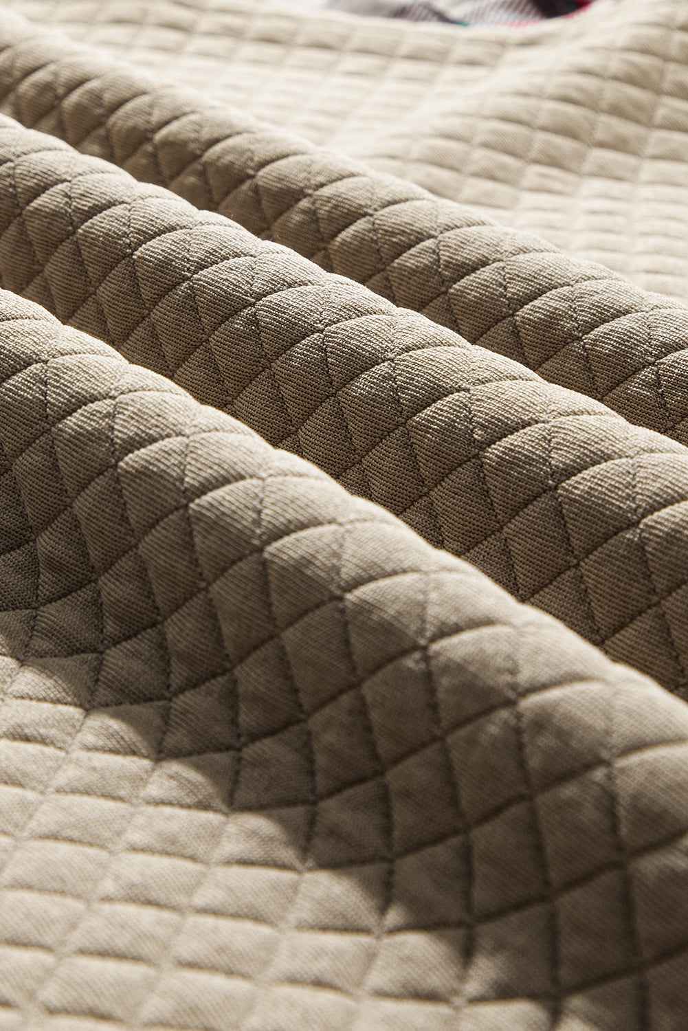 Apricot Plus Size Plaid Raglan Sleeve Crew Neck Sweatshirt 07ca97c0e5daa851