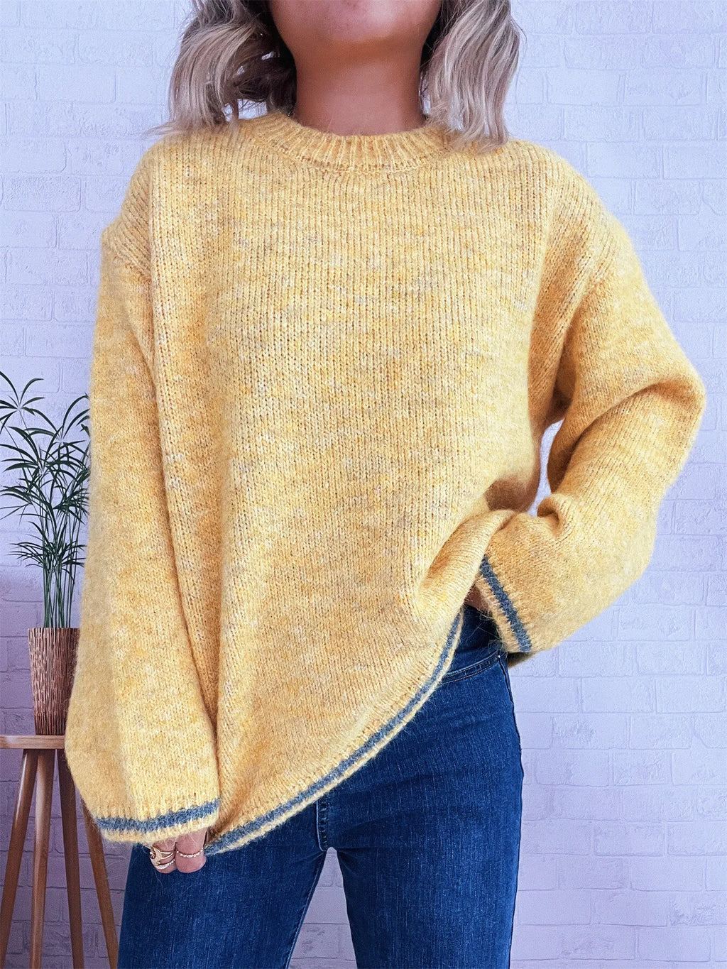 Contrast Trim Round Neck Cozy Sweater 0e547dd09b344dea811609bee0e8894b-Max-Origin