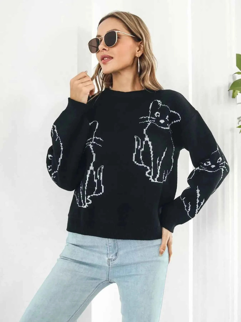 Round Neck Long Sleeve Sweater 171555ea-3a50-430b-a99b-0c796e3df446-Max-Origin