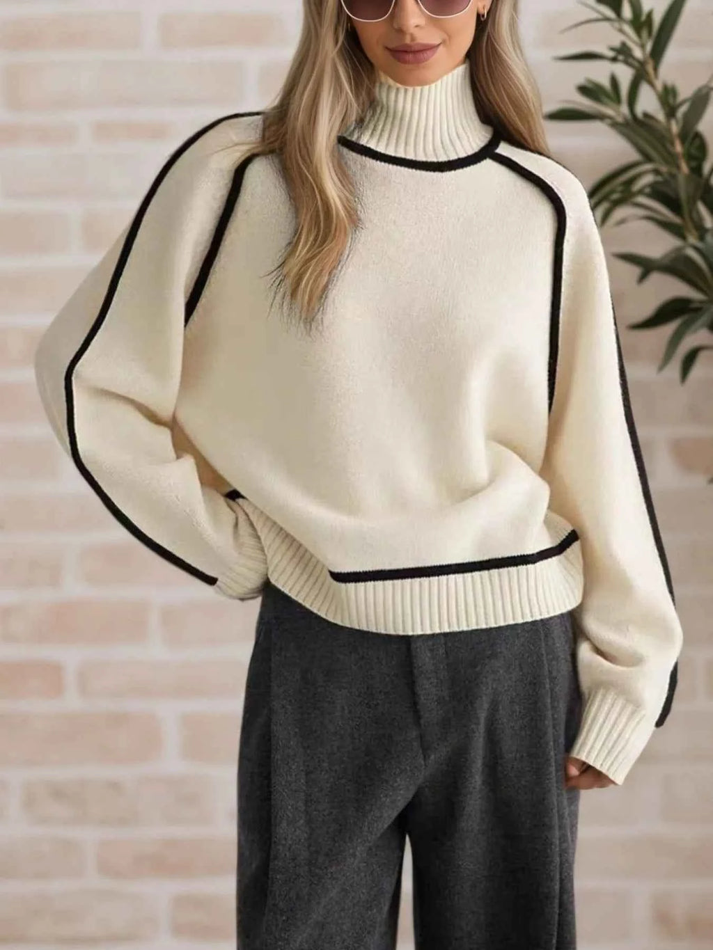 Contrast Trim Turtleneck Sweater 29a076b2-35b8-49d1-9ef2-5e08fb93d1a0-Max-Origin