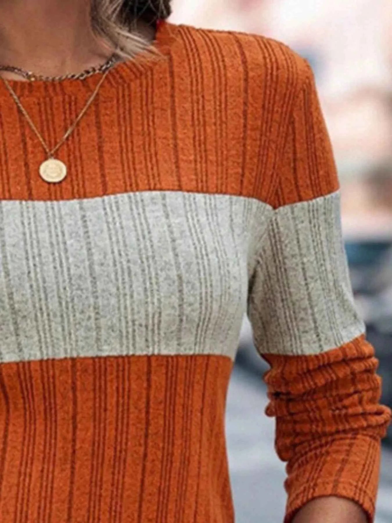 Color Block Round Neck Long Sleeve Sweater 309262a6-dca3-46f4-b8d0-b97323c24576-Max-Origin