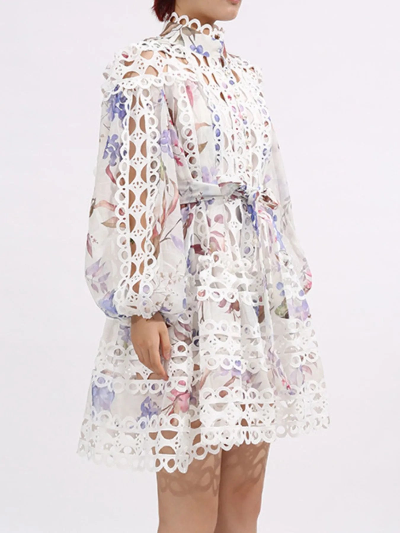 Lace Eyelet Mini Dress with Balloon Sleeves 392474ab-292f-492b-9baf-c2d29012564e-Max-Origin
