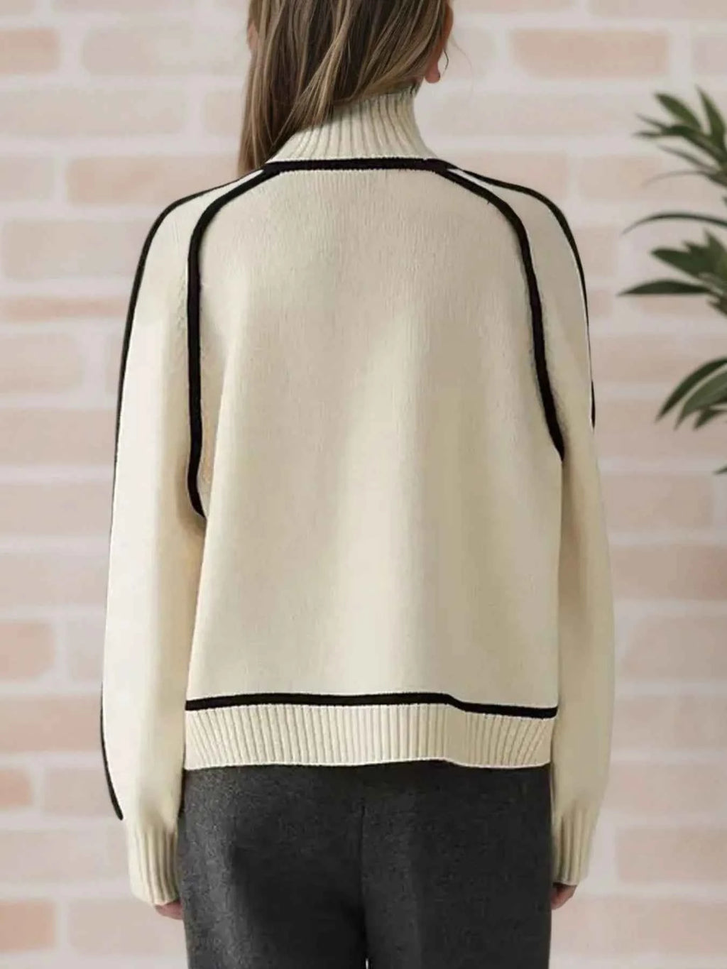 Contrast Trim Turtleneck Sweater 6326d435-8d1a-4b97-8040-11dde63b0255-Max-Origin
