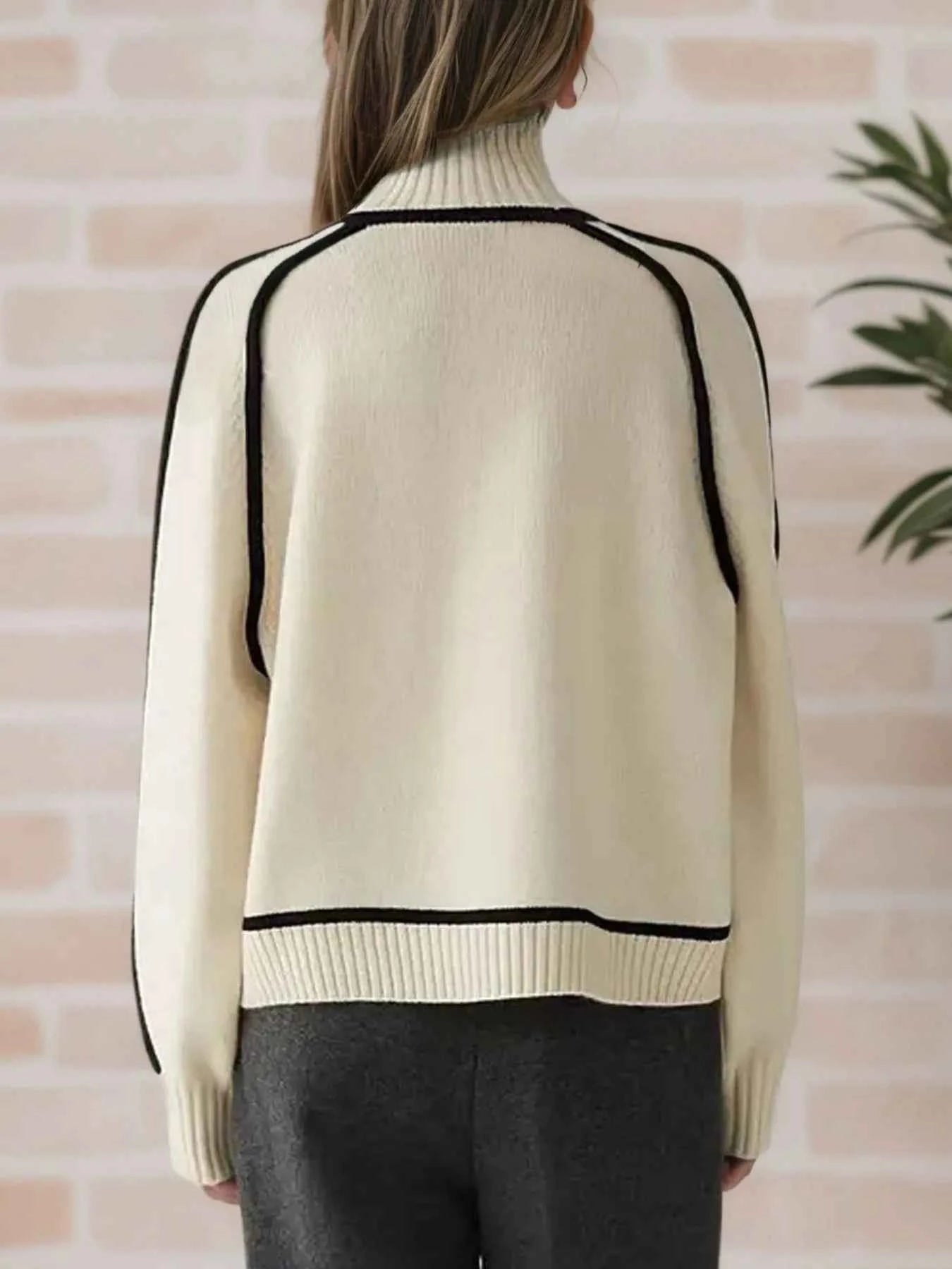 Contrast Trim Turtleneck Sweater 6326d435-8d1a-4b97-8040-11dde63b0255-Max-Origin