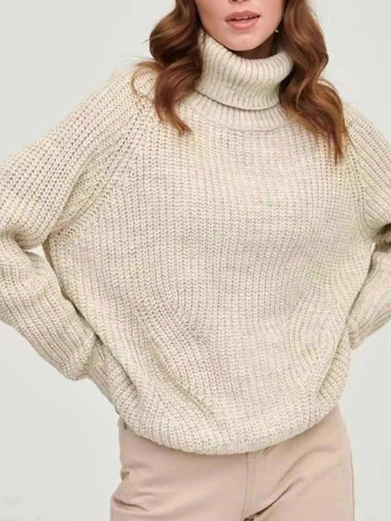 Turtleneck Long Sleeve Sweater Beige 6add6f0a-0df8-4ba7-a281-476744f35f0e-Max-Origin