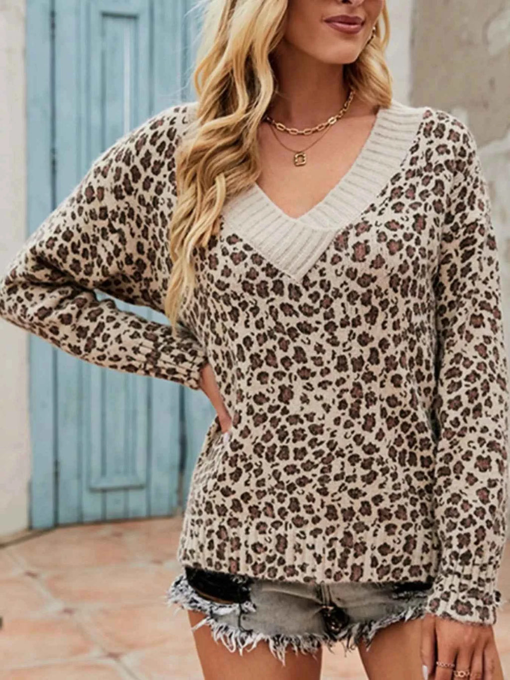 Leopard V-Neck Long Sleeve Sweater 6ccc7044-935e-4a05-b344-41200cd0e1a9-Max-Origin