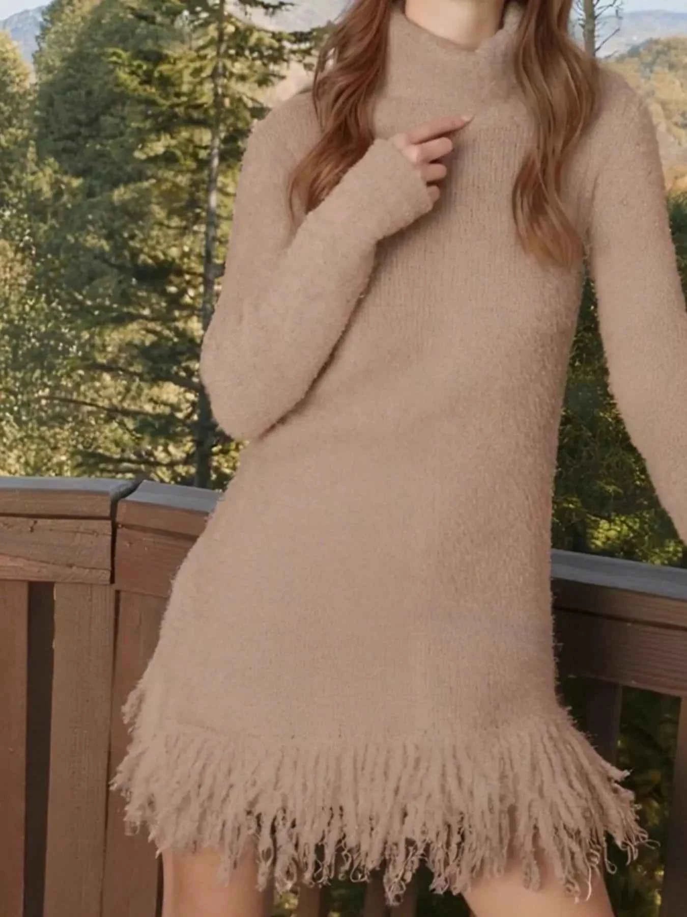 Fringe Turtleneck Long Sleeve Sweater Dress 74844d96-bc59-48b1-aeef-bd4b457b7199-Max-Origin