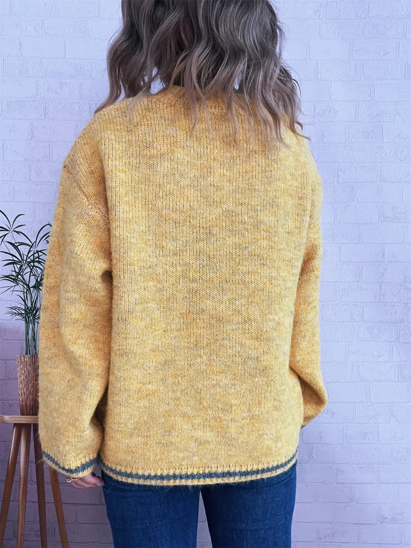 Contrast Trim Round Neck Cozy Sweater 748bac386f2d44339dcdd0ec32014f47-Max-Origin