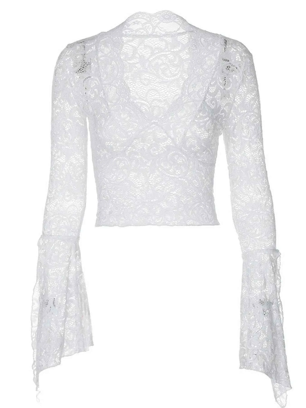 Lace Long Sleeve Deep V-Neck Blouse 94d4b09a-4808-46f7-9740-cc18f0da40a8-Max-Origin