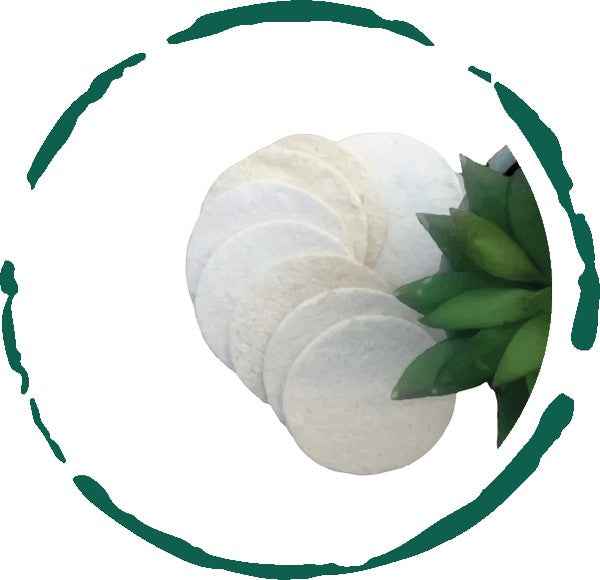 Natural Loofah Pads 5-pcs As Shown One Size a16d2cd5-8bda-4aed-a55b-3b289b985940