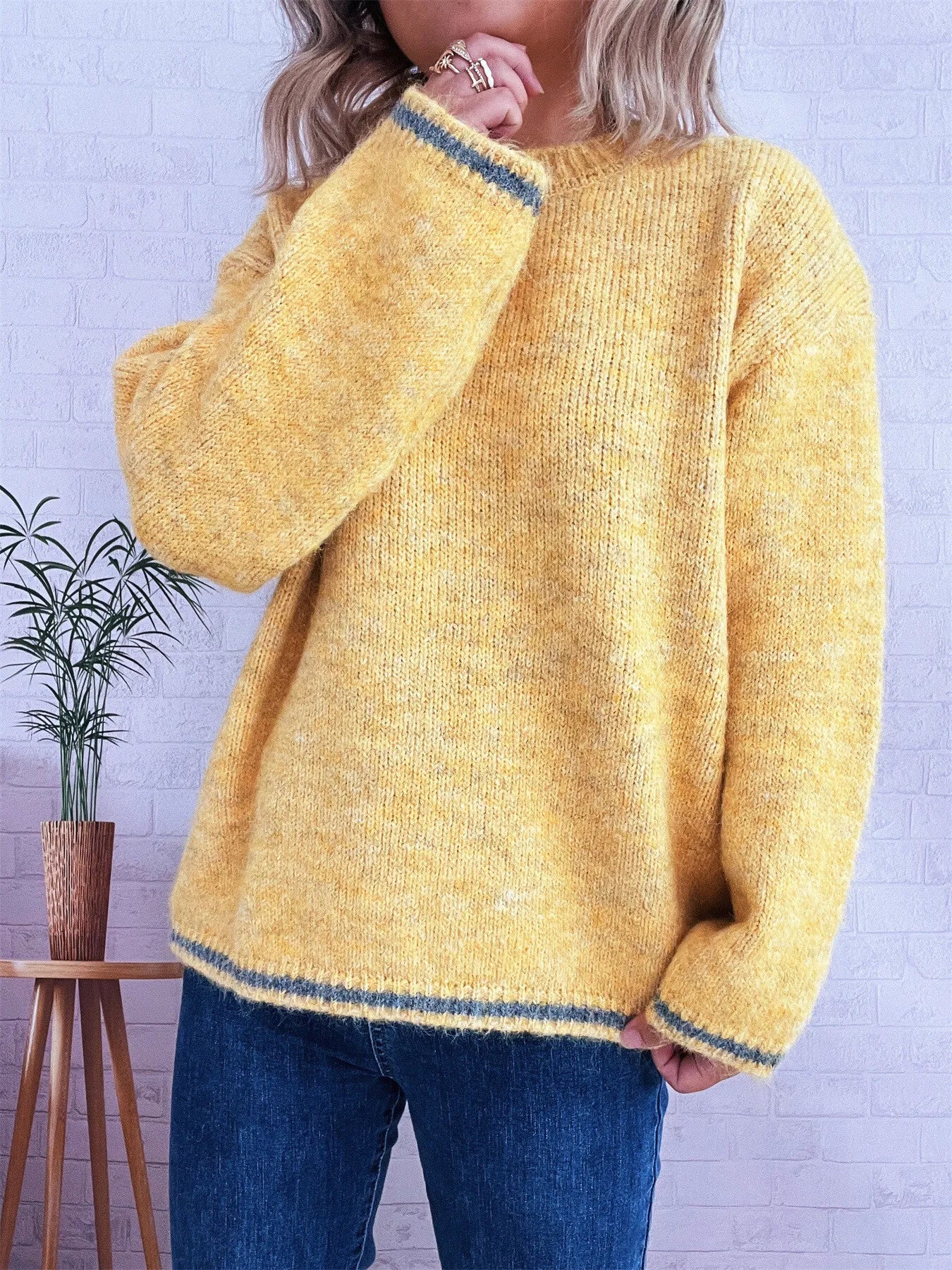 Contrast Trim Round Neck Cozy Sweater ab2b1cfb14414a12b2f274cda1e4bdb4-Max-Origin