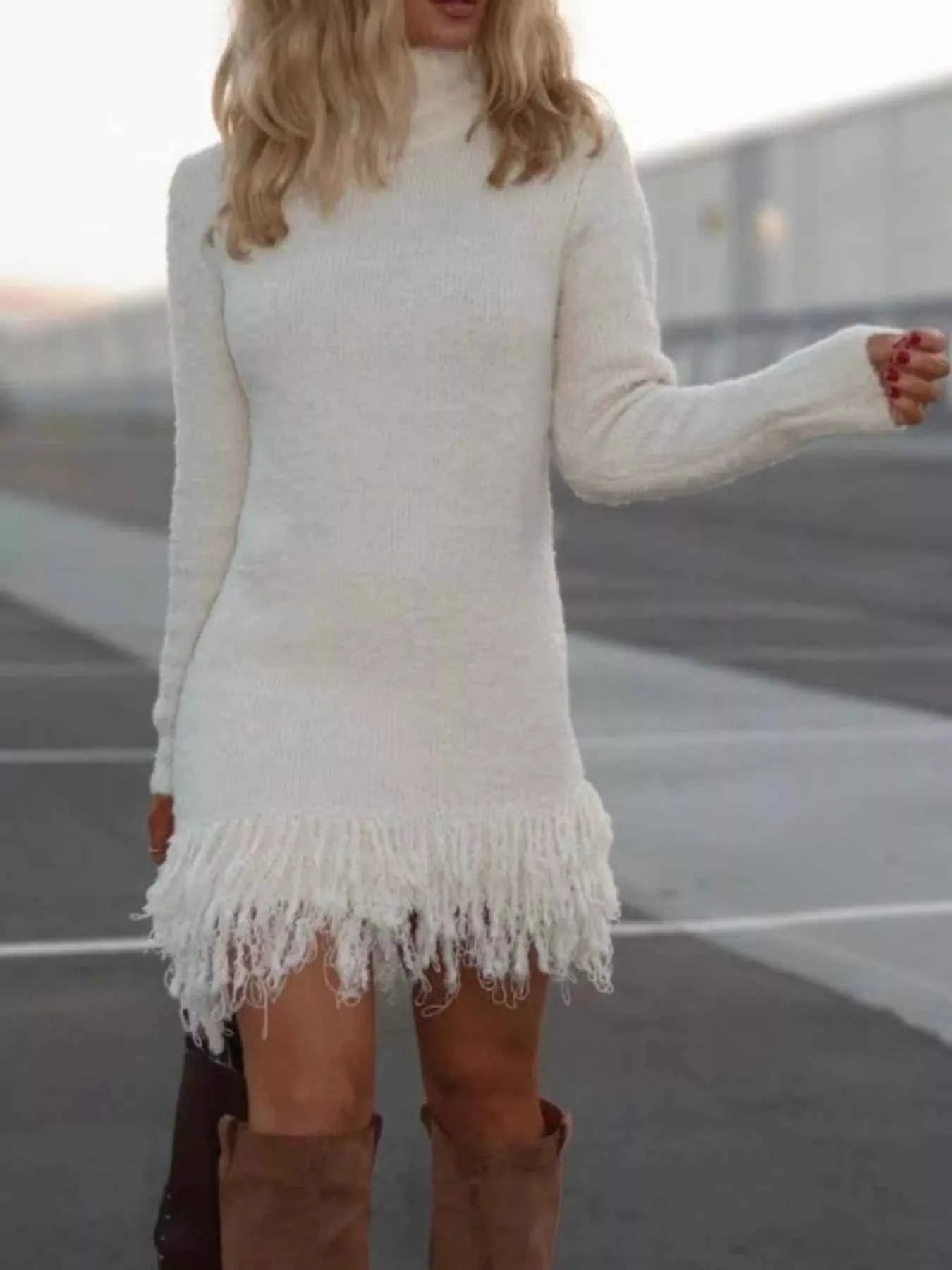 Fringe Turtleneck Long Sleeve Sweater Dress ad550699-5d0e-4154-8ee7-c27c7d22258f-Max-Origin