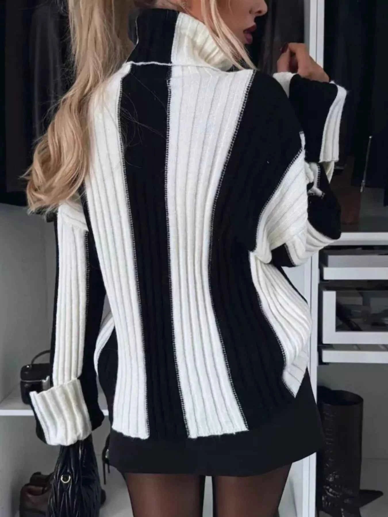 Color Block Ribbed Turtleneck Sweater dab71b1b-6316-4e9e-9d5d-f39ddc3b3b2d-Max-Origin