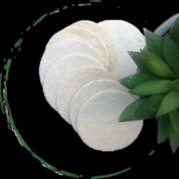 Natural Loofah Pads 5-pcs df09caa9-bf73-4e51-8dba-9bb31487352a