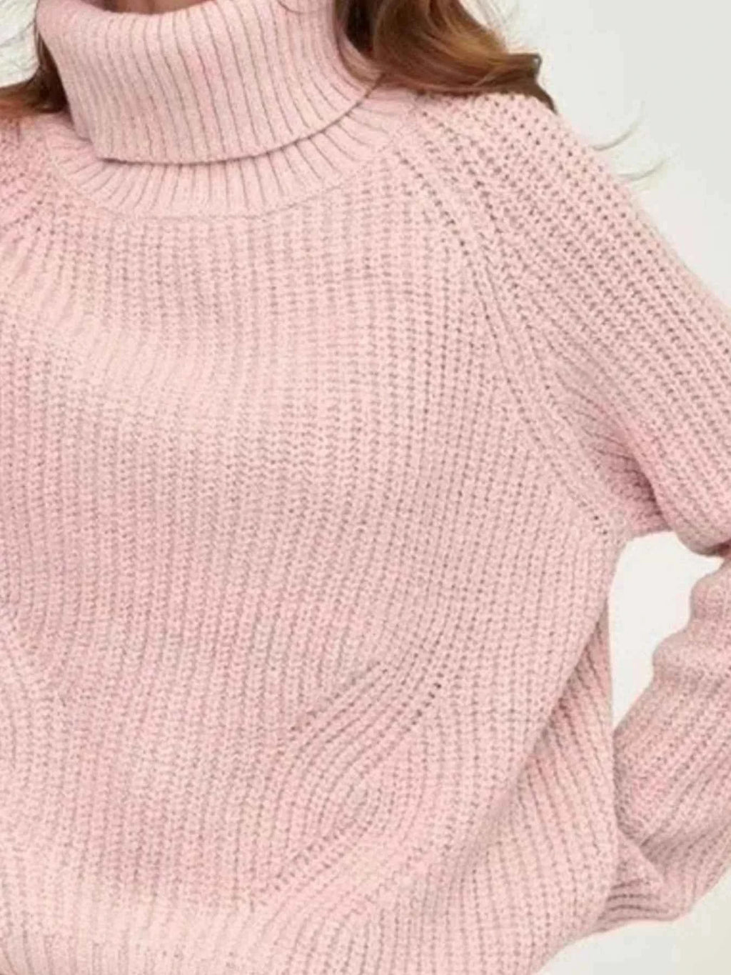 Turtleneck Long Sleeve Sweater e9e4aa15-673a-4936-a7e6-ffc75c3eb51d-Max-Origin